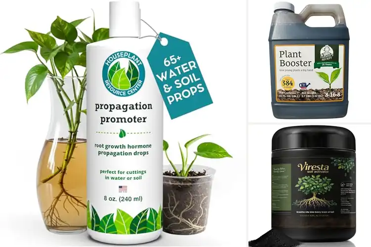 Detailed view of Best Plant Growth Promoters