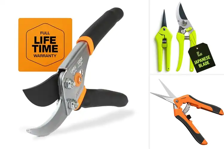 Detailed view of Best Plant Shears