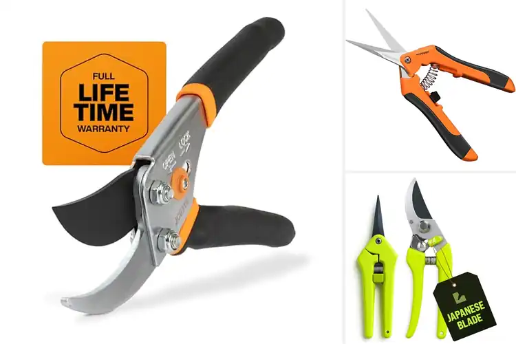 Detailed view of Best Plant Trimmers: Top 10 Picks for Effortless Pruning
