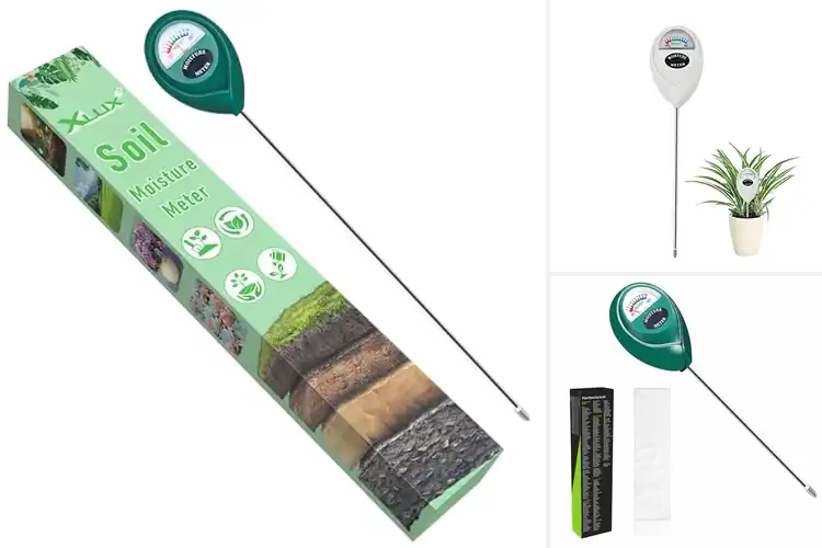 Detailed view of Best Plant Watering Meters: Thrive with Confidence & Ease