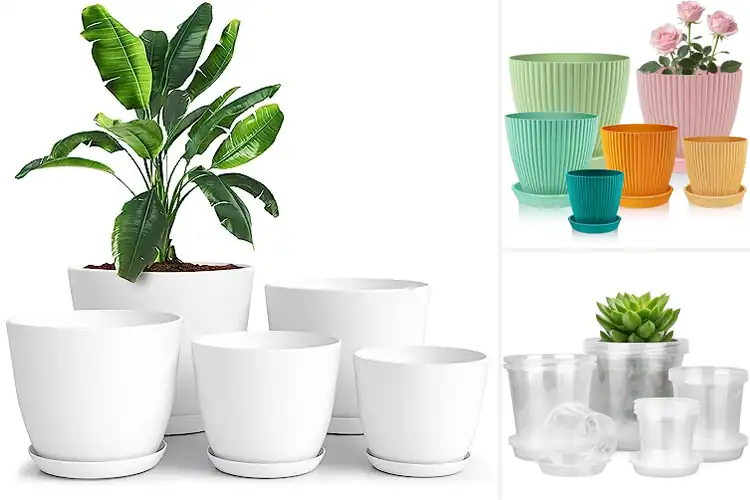 Detailed view of Best Plastic Flower Pots Sets for Healthy, Happy Plants