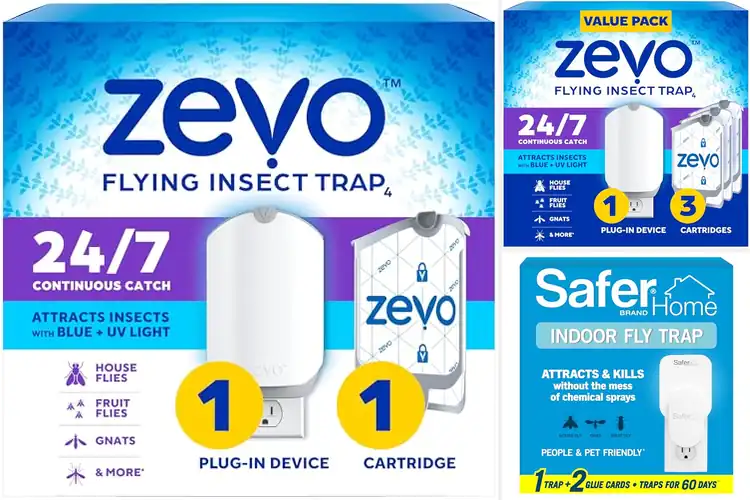 Detailed view of Best Plug-In Fly Traps