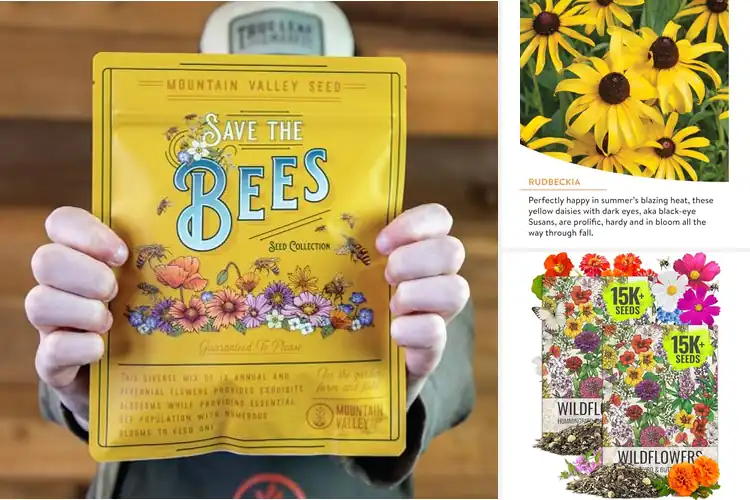 Detailed view of Best Pollinator-Attracting Seeds