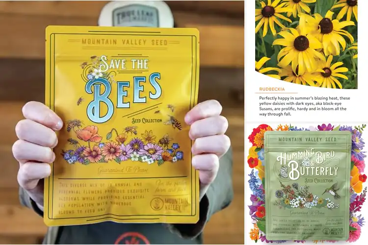 Detailed view of Best Pollinator Flowers