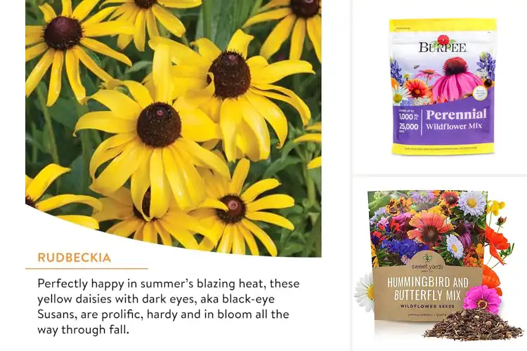 Detailed view of Best Pollinator Garden Seeds