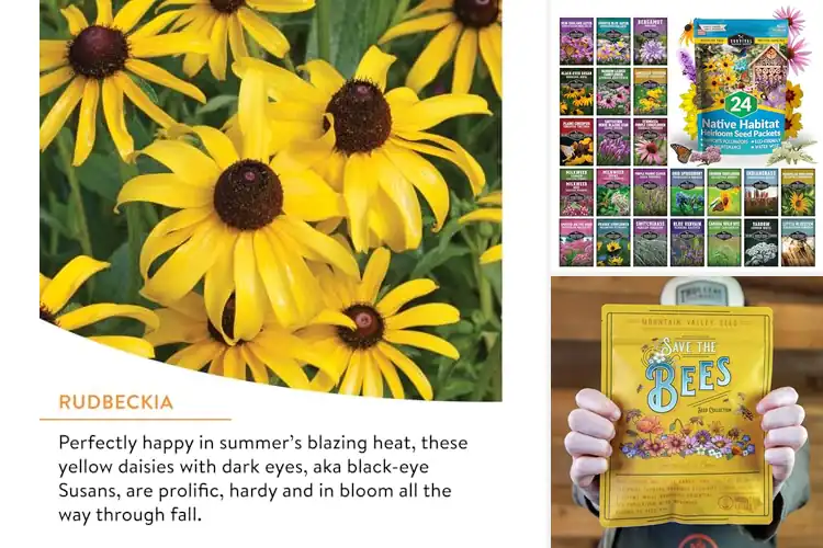 Detailed view of Best Pollinator Plants