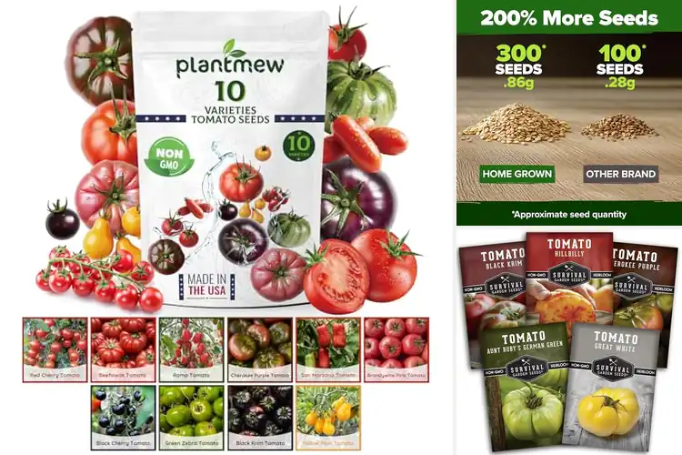 Detailed view of Best Pollinator Tomato Seeds