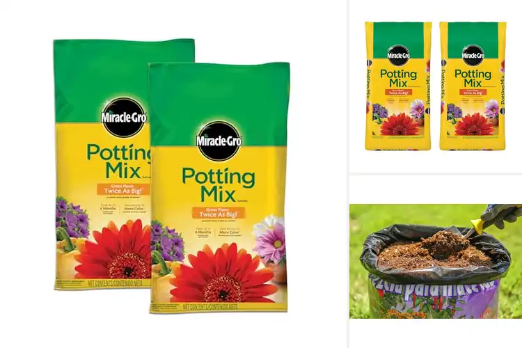 Detailed view of Best Potting Mediums For Annuals