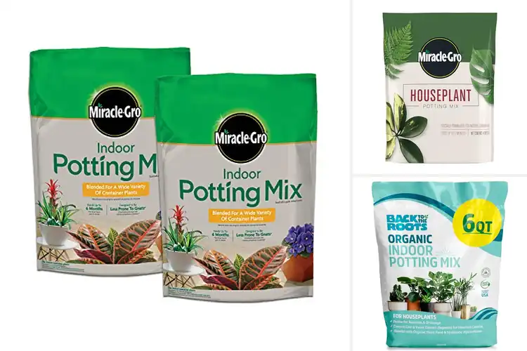 Detailed view of Best Potting Mix For Indoor Houseplants