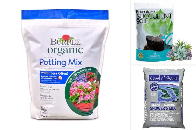 Detailed view of Best Potting Mix For Pots And Ground