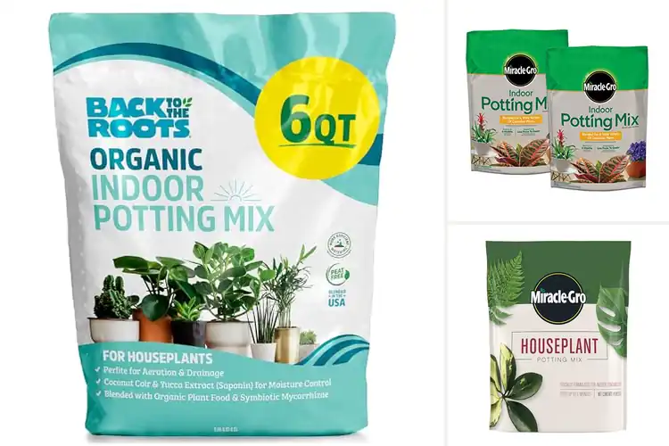Detailed view of Best Potting Mixes For Houseplants: Boost Growth & Vibrancy