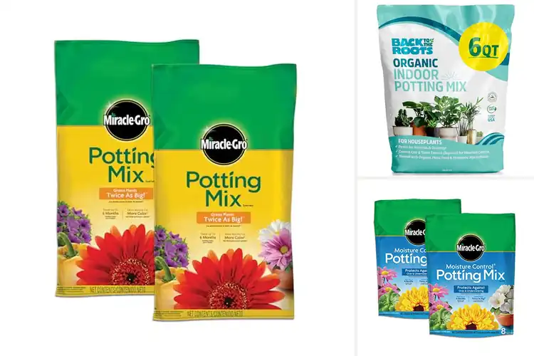 Detailed view of Best Potting Soils For Bigger Plants
