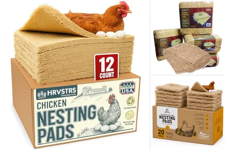 Detailed view of Best Poultry Bedding Pads