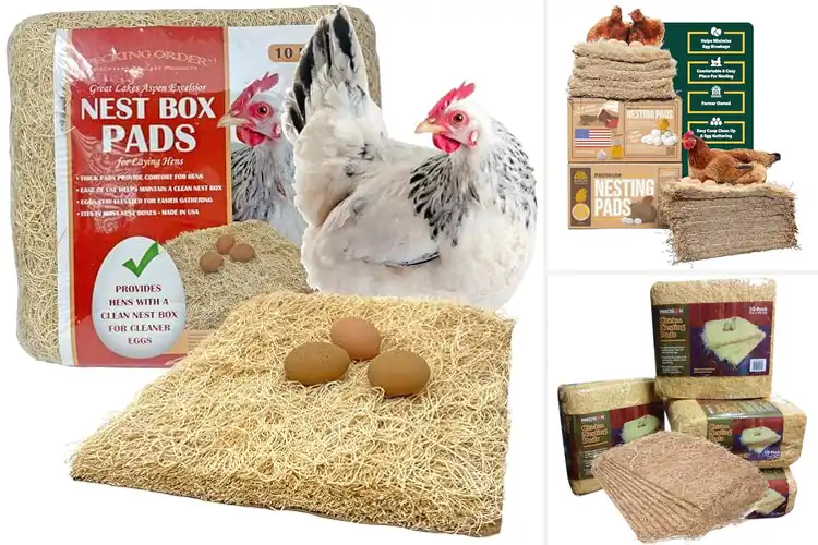 Detailed view of Best Poultry Nesting Pads for Clean Coops