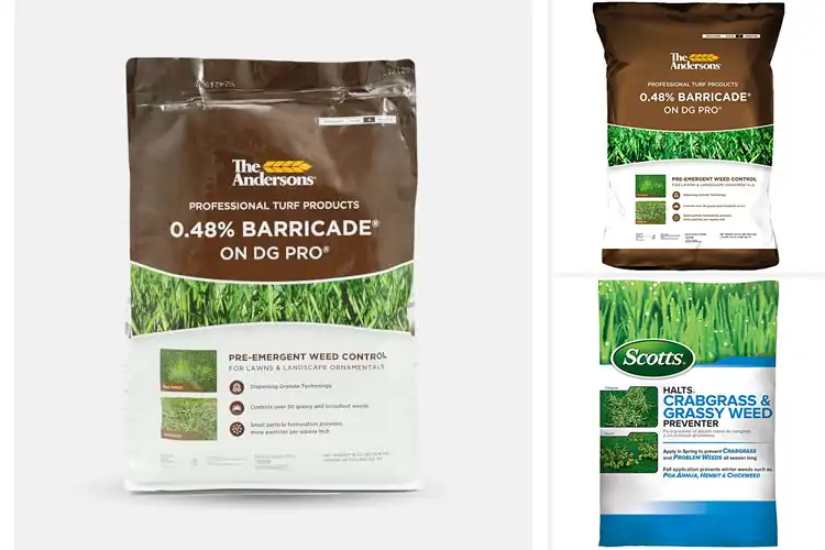 Detailed view of Best Pre-Emergent Weed Controls