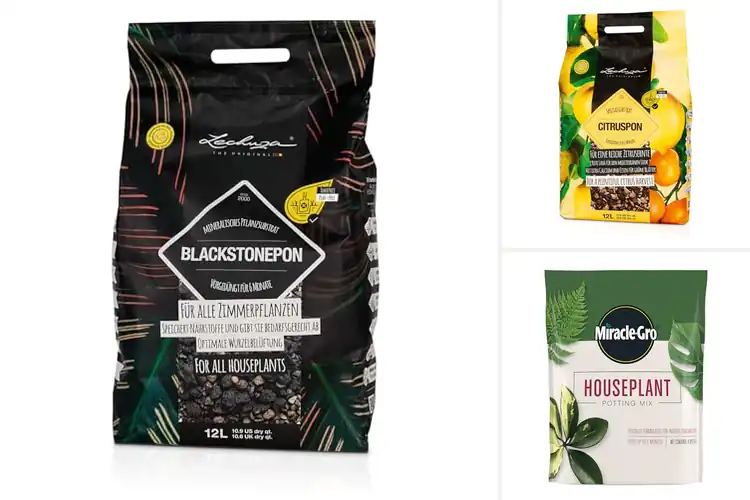 Detailed view of Best Pre-Fertilized Potting Mixes: Grow Happy Plants