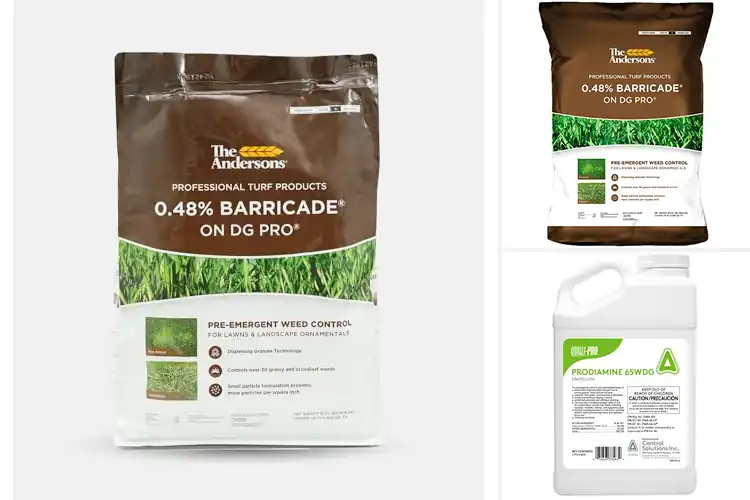 Detailed view of Best Professional-Grade Weed Controls