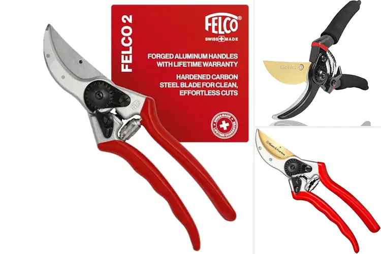 Detailed view of Best Professional Pruners
