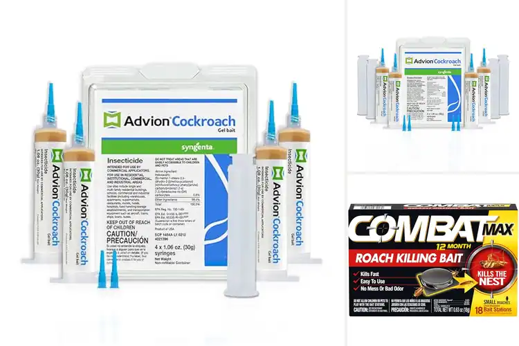 Detailed view of Best Professional Roach Baits for Fast, Lasting Control
