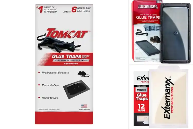 Detailed view of Best Professional Strength Glue Traps For Mice