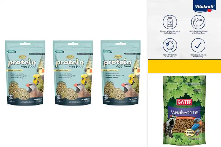 Detailed view of Best Protein Bird Foods