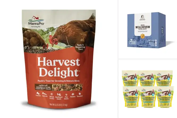 Detailed view of Best Protein Supplements for Poultry