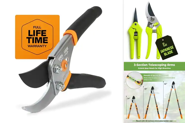 Detailed view of Best Pruning Shears