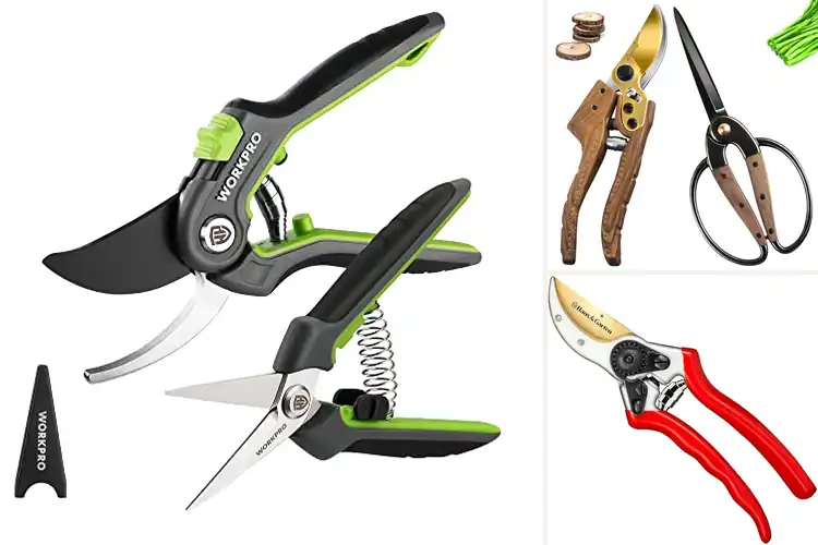 Detailed view of Best Pruning Tools: Top 10 Picks for Effortless Garden Care