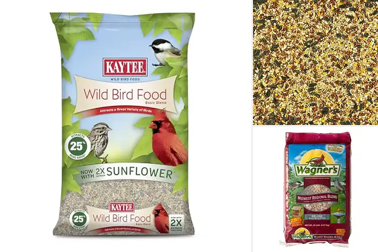 Detailed view of Best Quality Grains In Wild Bird Blend
