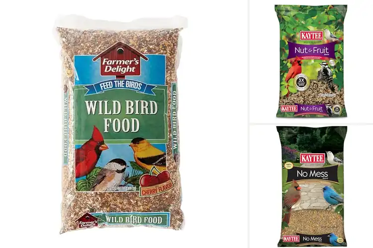 Detailed view of Best Quality Wild Bird Seeds for a Vibrant Backyard