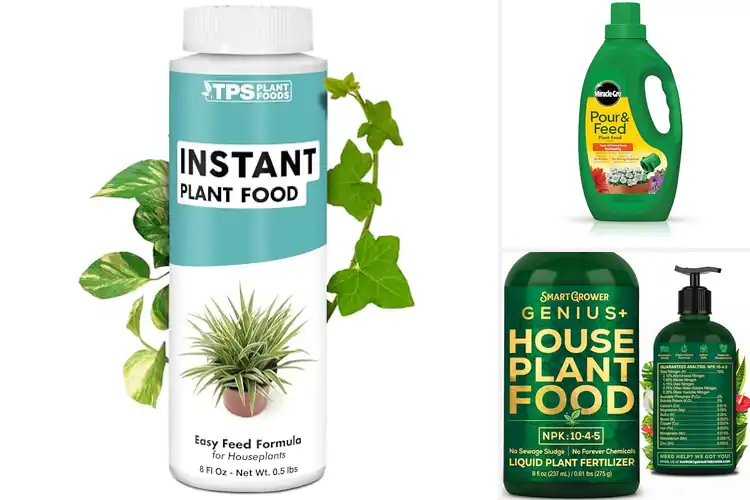 Detailed view of Best Quick Acting Plant Food For Instant Results