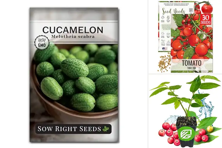 Detailed view of Best Quick Fruiting Seeds