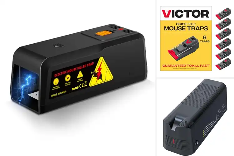 Detailed view of Best Quick Zap Mouse Traps