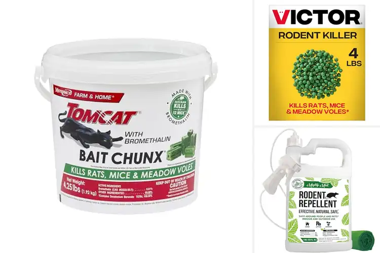 Detailed view of Best Rat And Mouse Control