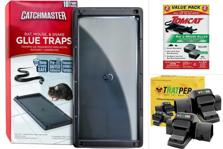 Detailed view of Best Rat And Mouse Traps