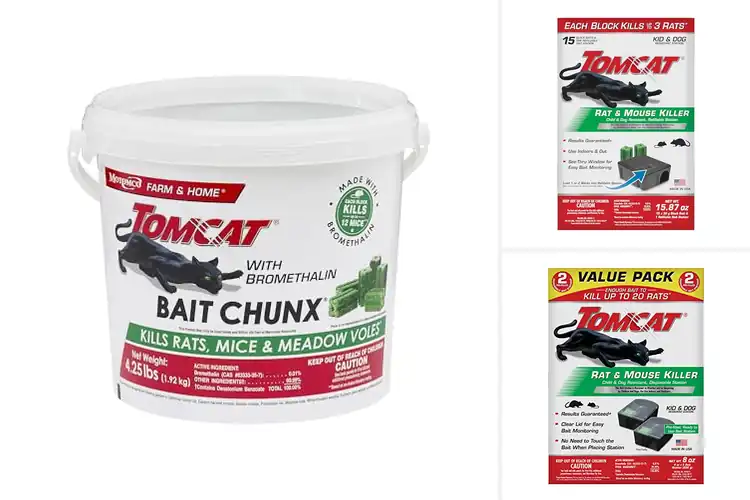 Detailed view of Best Rat Baits: Top Picks for a Rodent-Free Home or Farm