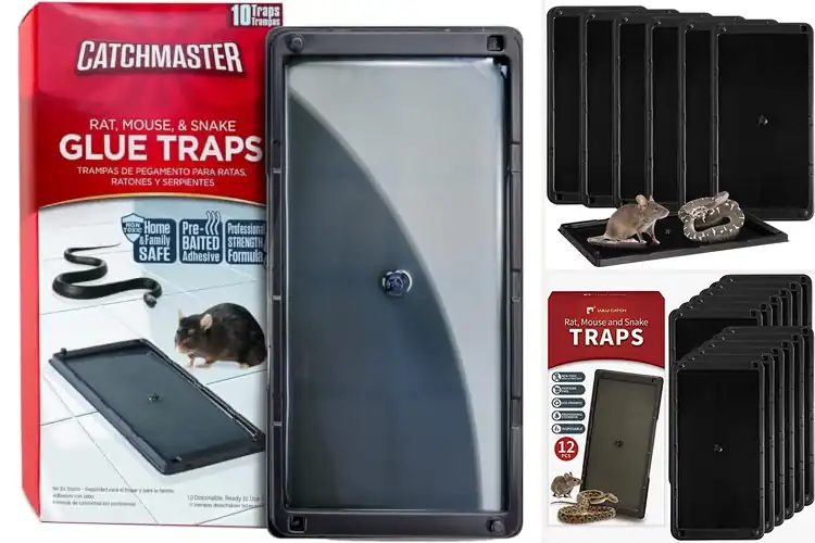 Detailed view of Best Rat Glue Traps: Top 10 Picks for a Pest-Free Home