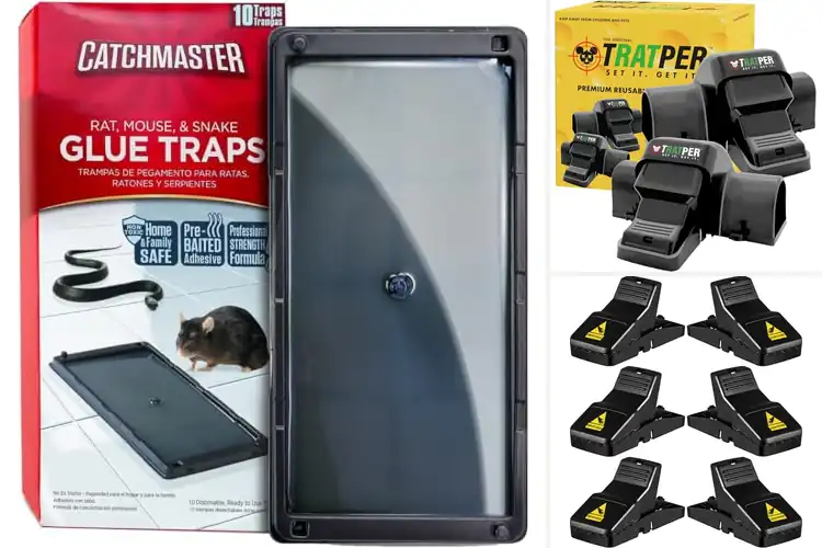 Detailed view of Best Rat Traps Indoor: Top Picks for a Rat-Free Home Fast