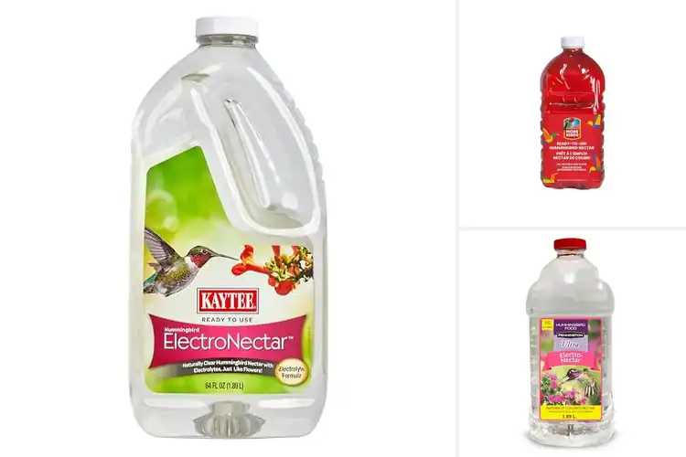 Detailed view of Best Ready-to-Use Bird Foods