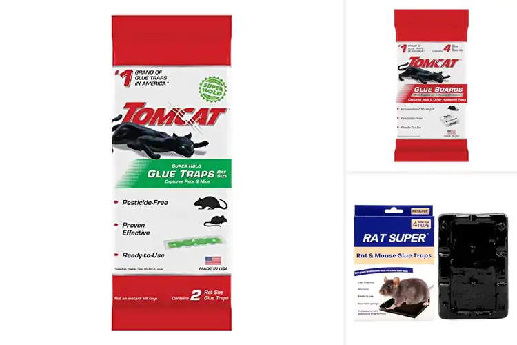 Detailed view of Best Ready To Use Glue Traps For Mice Without Chemicals