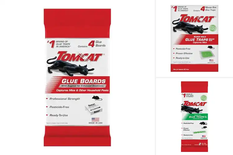 Detailed view of Best Ready To Use Glue Traps For Quick Setup
