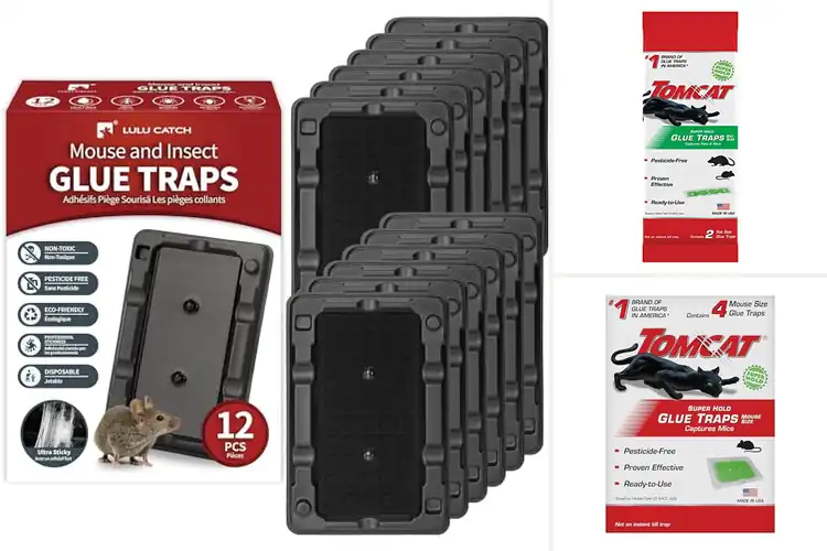 Detailed view of Best Ready To Use Glue Traps
