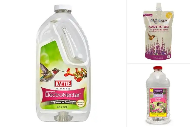 Detailed view of Best Ready To Use Nectar: Top 10 Picks for Hummingbird Bliss