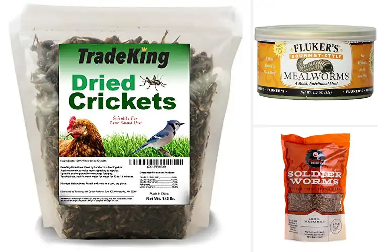Detailed view of Best Reptile and Bird Treats