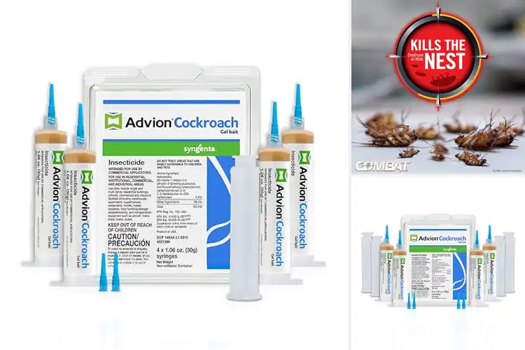 Detailed view of Best Roach Killer Gels: Top Picks for a Pest-Free Home