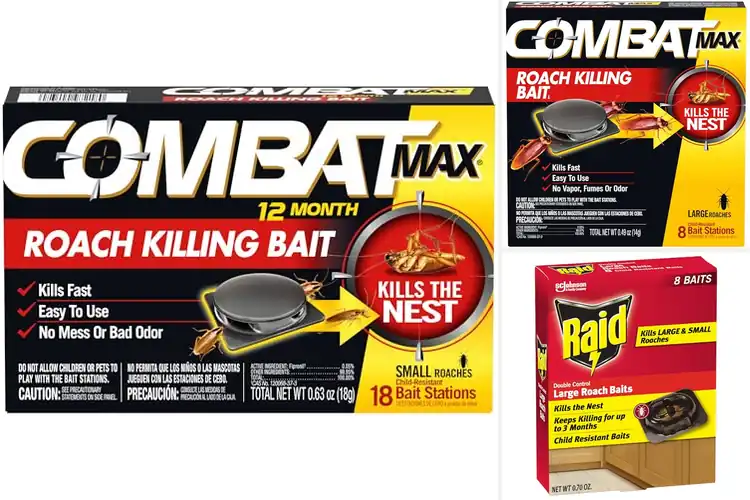 Detailed view of Best Roach Killing Baits: Banish Pests Fast