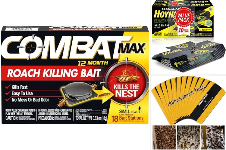 Detailed view of Best Roach Traps