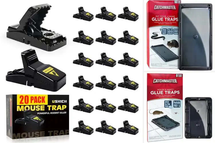 Detailed view of Best Rodent Traps For Homes
