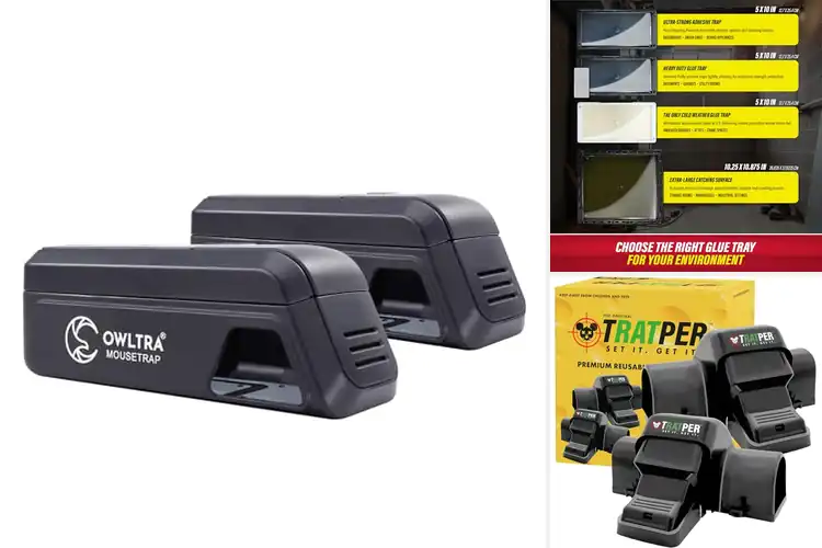 Detailed view of Best Rodent Traps: Top 10 Quick & Humane Pest Solutions