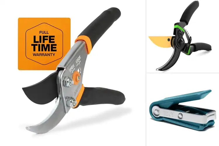 Detailed view of Best Rust Resistant Clippers